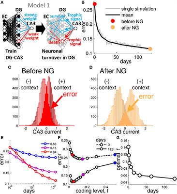 Hippocampal Neurogenesis Reduces the Dimensionality of Sparsely Coded Representations to Enhance Memory Encoding